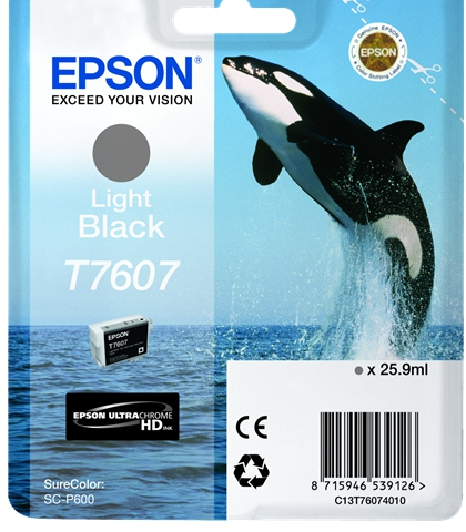 Epson Cartucho de tinta negro (claro) C13T76074010 T7607