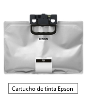 Epson Cartucho de tinta negro C13T01D100