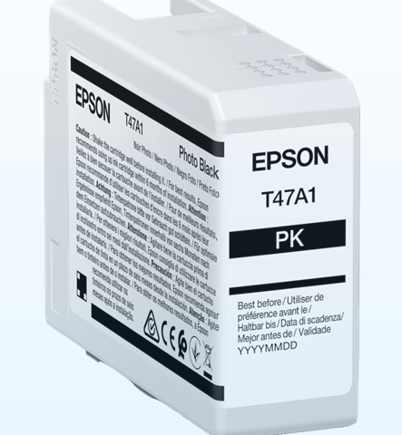 Epson Cartucho de tinta Negro (foto) C13T47A100