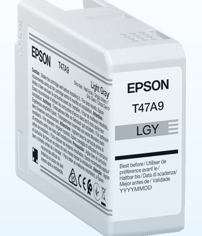 Epson Cartucho de tinta Gris claro C13T47A900