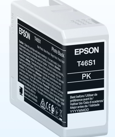 Epson Cartucho de tinta Negro foto C13T46S100