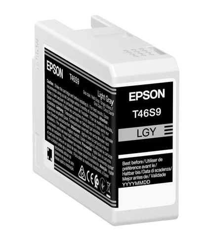 Epson Cartucho de tinta Gris claro C13T46S900 T46S9