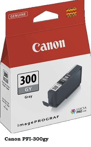 Canon PFI-300gy 4200C001