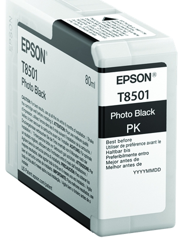 Epson Cartucho de tinta negro (foto) C13T850100 T8501
