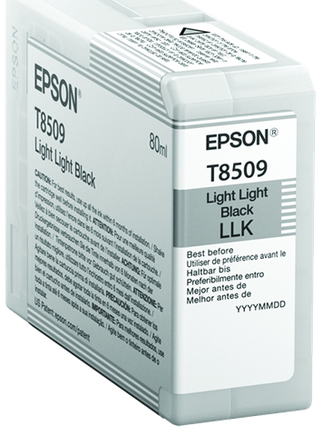 Epson Cartucho de tinta light light black C13T850900 T8509