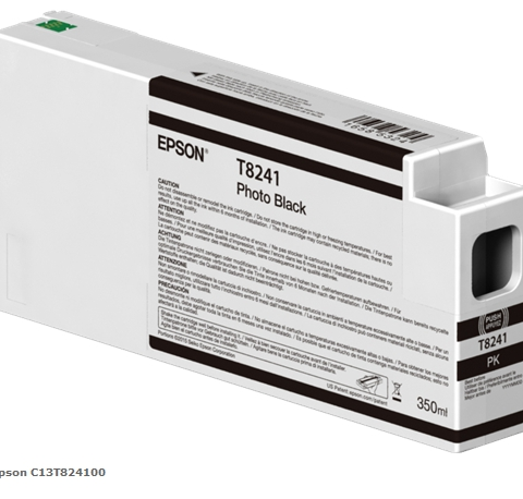 Epson Cartucho de tinta Negro (foto) C13T824100