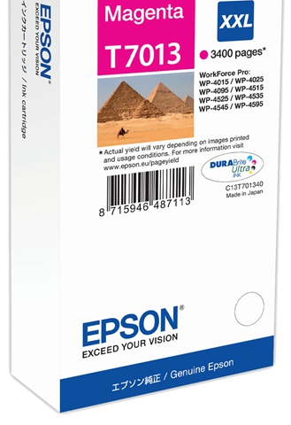 Epson Cartucho de tinta magenta C13T70134010