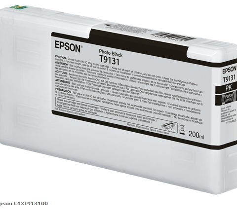 Epson Cartucho de tinta Schwarz (Foto) C13T913100 T9131