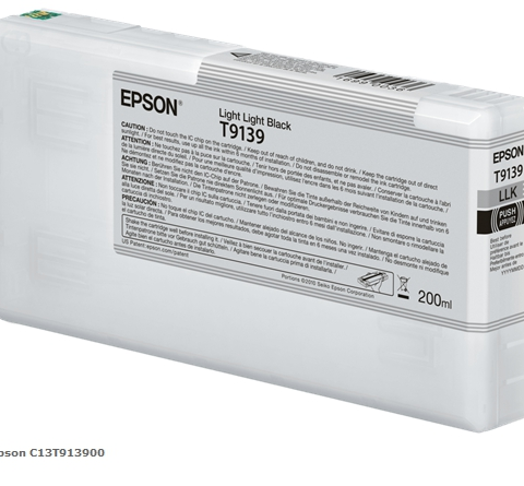 Epson Cartucho de tinta Schwarz (light, light) C13T913900 T9139