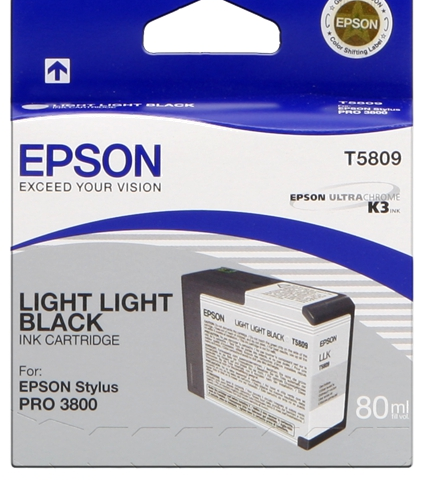 Epson Cartucho de tinta light light black C13T580900 T5809