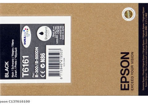 Epson Cartucho de tinta negro C13T616100 T6161