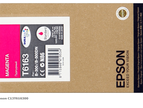 Epson Cartucho de tinta magenta C13T616300 T6163