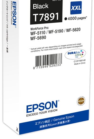 Epson Cartucho de tinta negro C13T789140 T7891