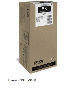 Epson Cartucho de tinta negro C13T973100 T9731