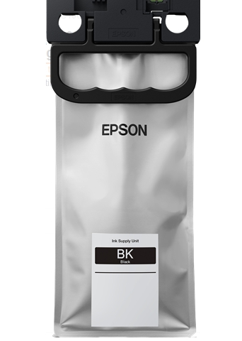 Epson Cartucho de tinta negro C13T01C100