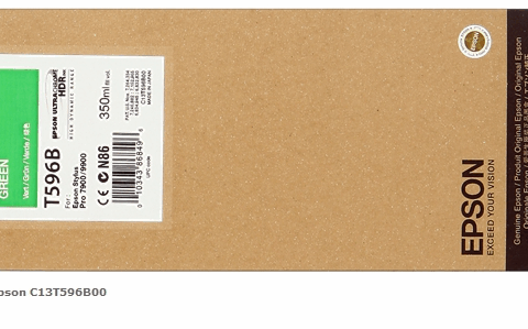Epson Cartucho de tinta verde C13T596B00 T596B00